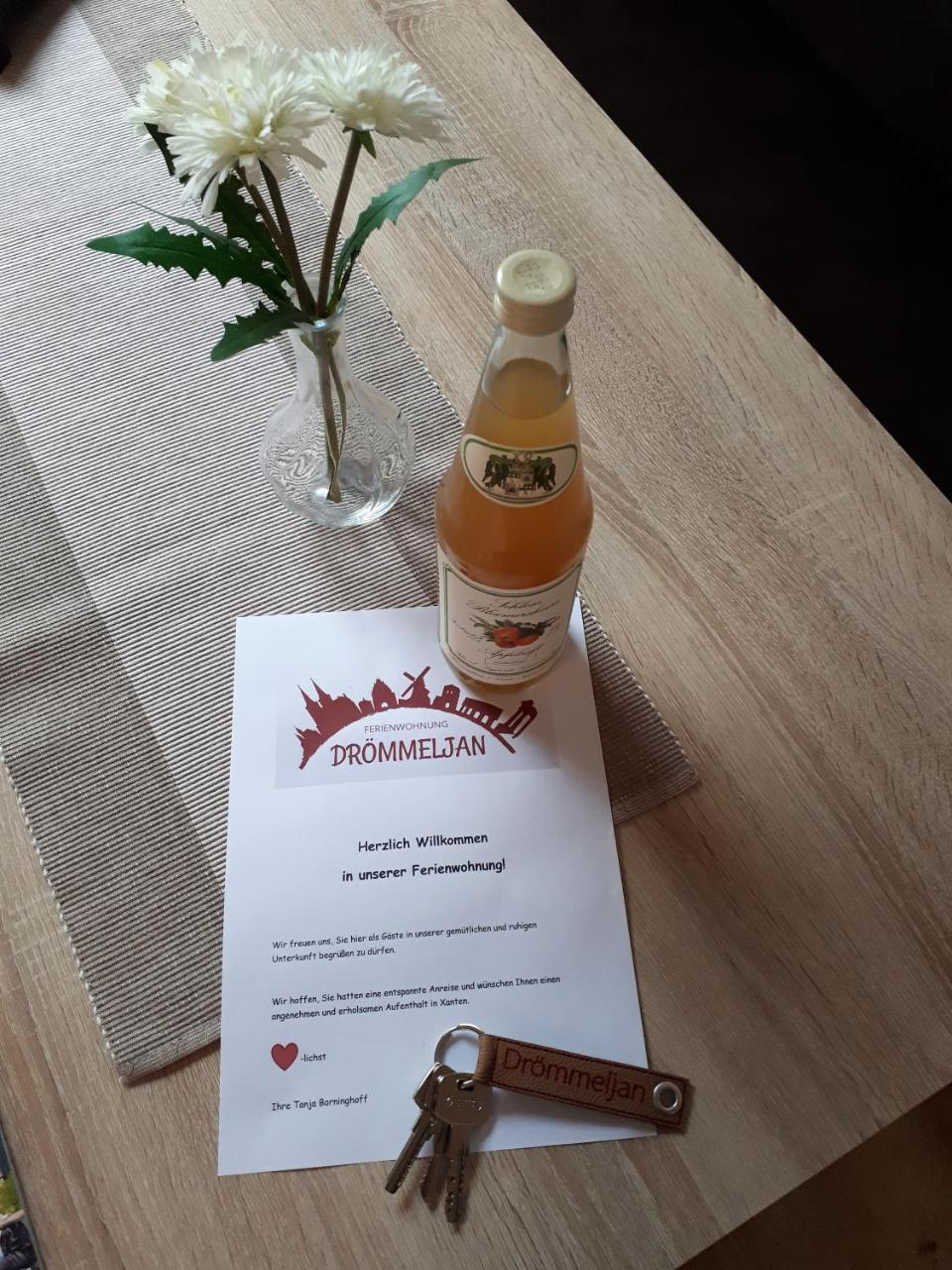 Ferienwohnung Droemmeljan 크산텐 외부 사진